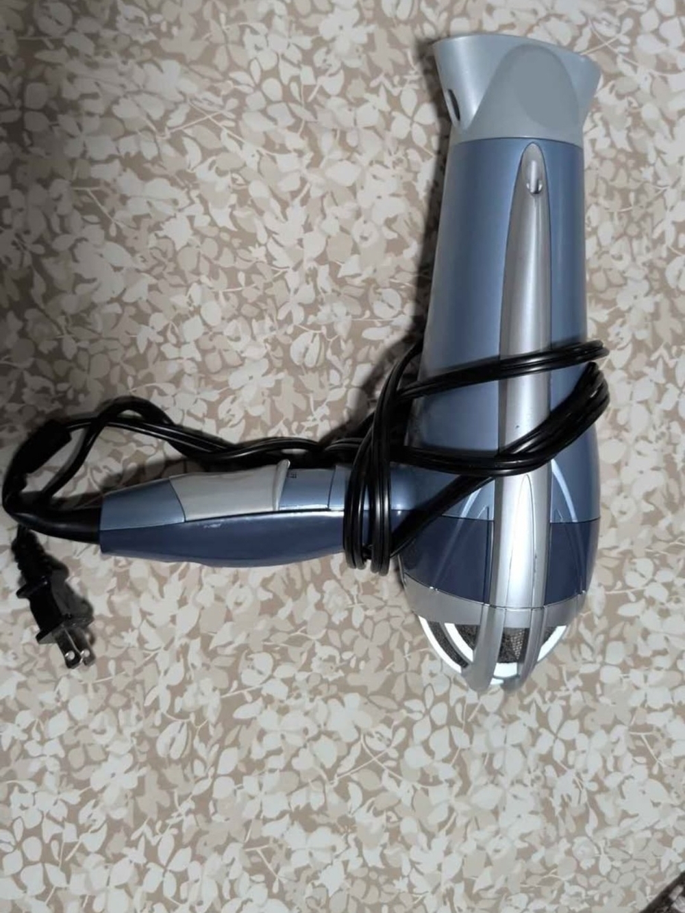 Blue & Silver Hair Dryer